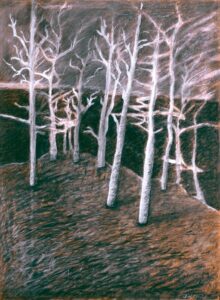 Electric Trees Charcoal, conte crayon 17" x 23" (image) 30" x 24" (framed)